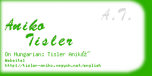 aniko tisler business card